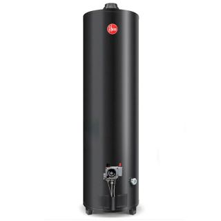 Termotanque 160lts Alta potencia A.E.E. De pie Gas natural Rheem