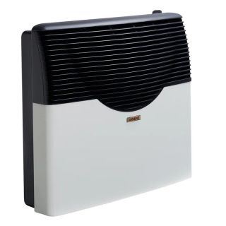 Calefactor Tiro Balanceado 5000kcal Longvie